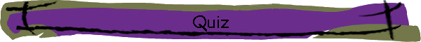 Quiz